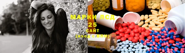 прущие грибы Беломорск