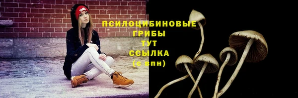 таблы Белокуриха