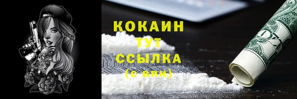 прущие грибы Беломорск