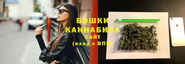 прущие грибы Беломорск