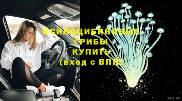 таблы Белокуриха