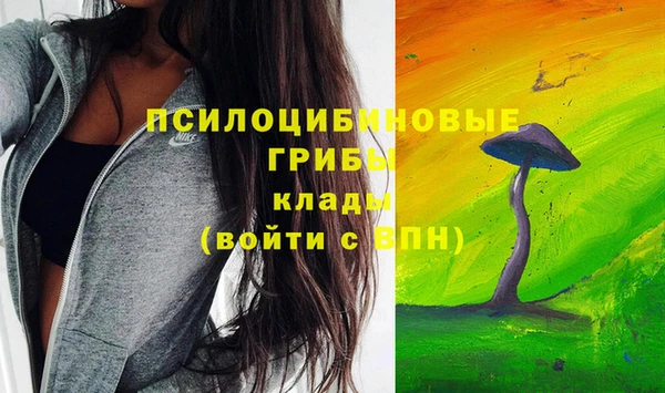 прущие грибы Беломорск