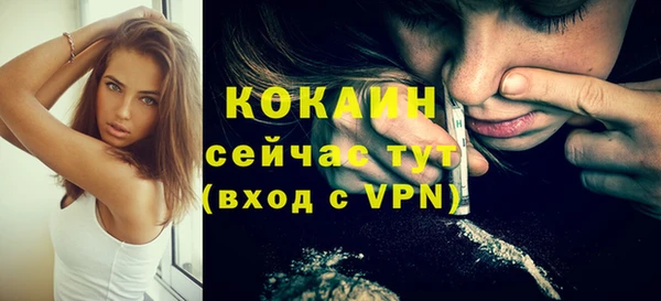 прущие грибы Беломорск
