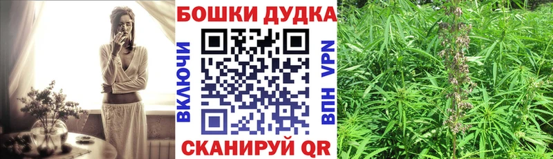 Шишки марихуана марихуана  купить   Новая Ляля 